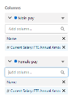 Screenshot showing Current salary: FTE annual amount reporting columns selected for both male pay and female pay blocks